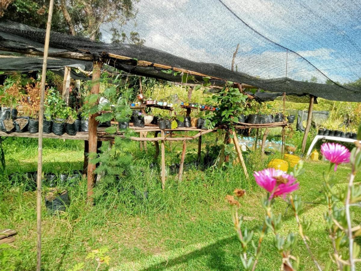 Hospedaje y Zona de Camping Pistacho Hostal Villa de Leyva Exterior foto