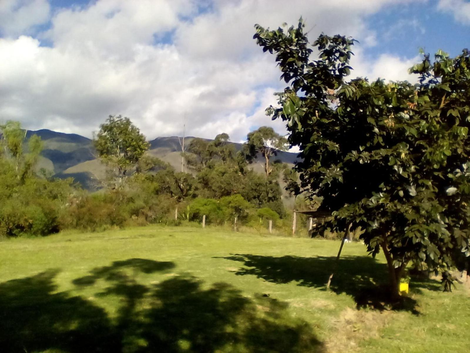 Hospedaje y Zona de Camping Pistacho Hostal Villa de Leyva Exterior foto